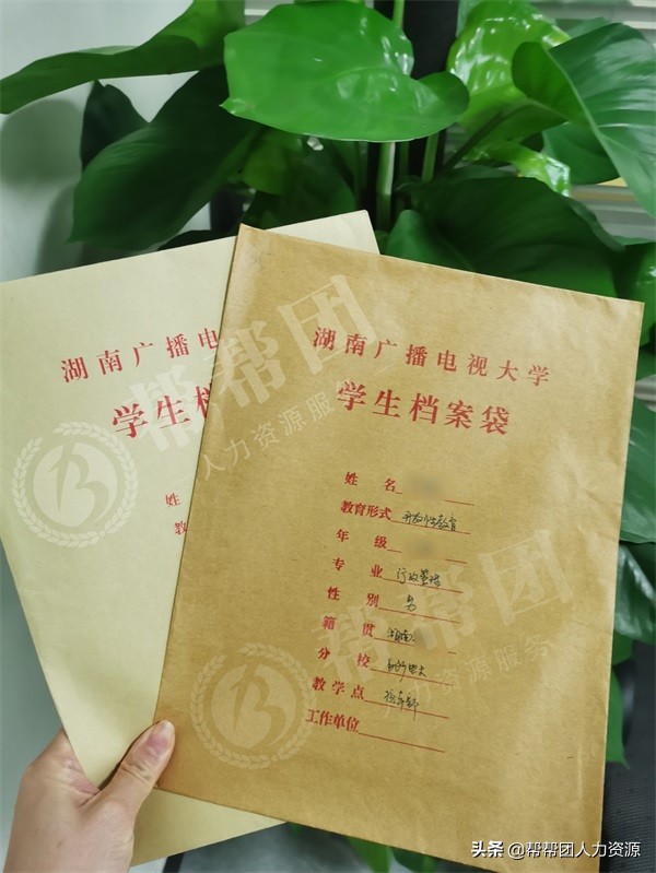 档案在自己手上怎么办？几个小妙招轻松解决