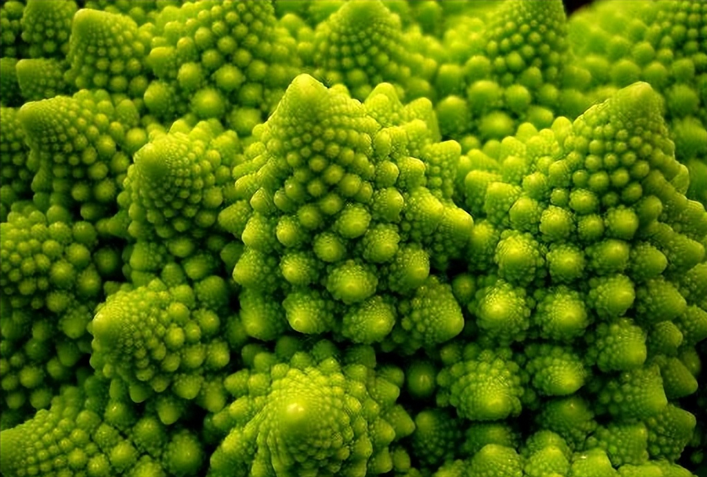 有没有可能这个世界乃至整个宇宙已经轮回了无数次？