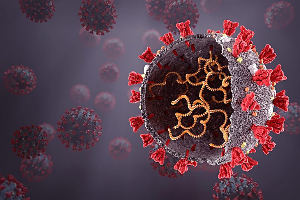 同为冠状病毒,2003年的非典为何突然消失,而新冠却还在蔓延?