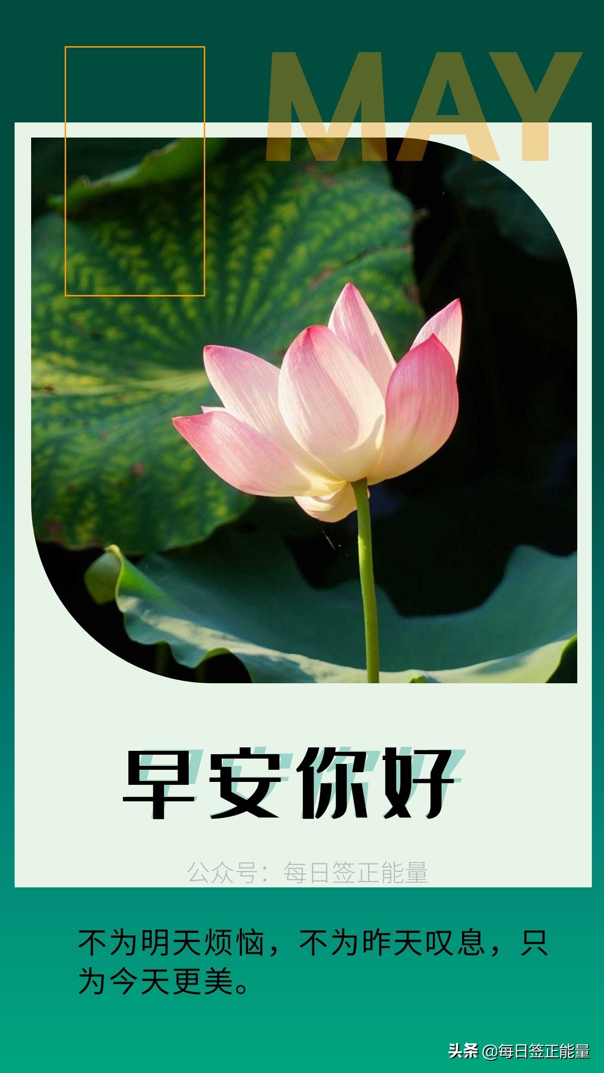 2021年 12月10日 星期五农历:辛丑年【牛年】十一月初七节气:大雪 第4