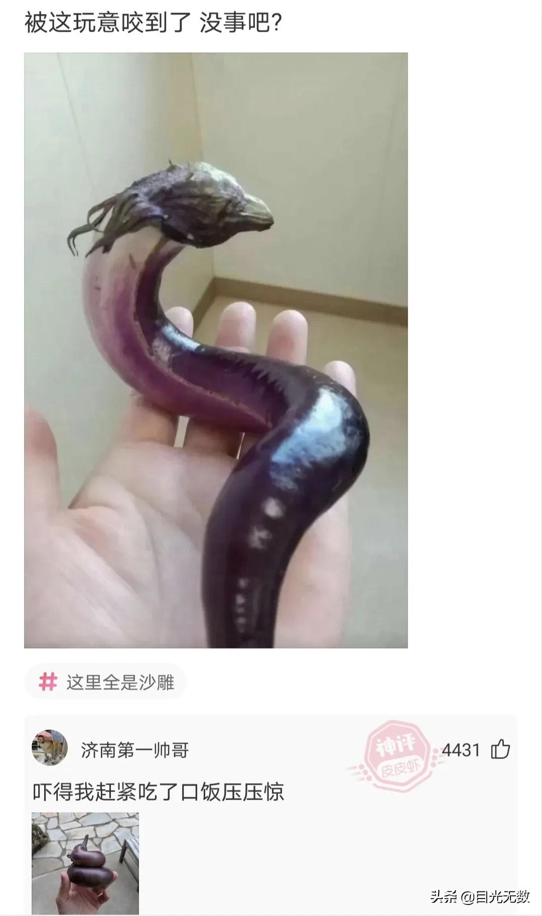 神评论：爱迪生一生中从来没说过「放弃」两字