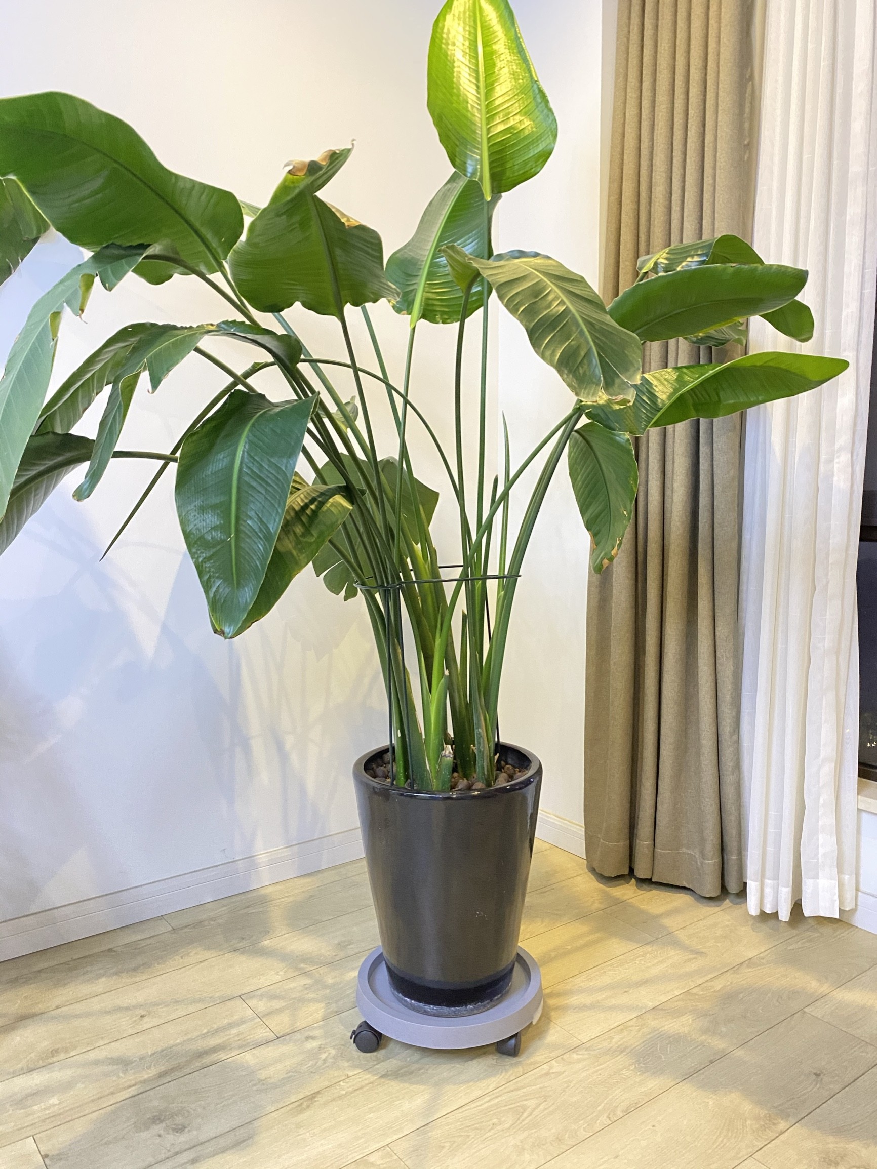 结婚3年，最佩服老婆置办的这10个小物件，让我少挨不少骂