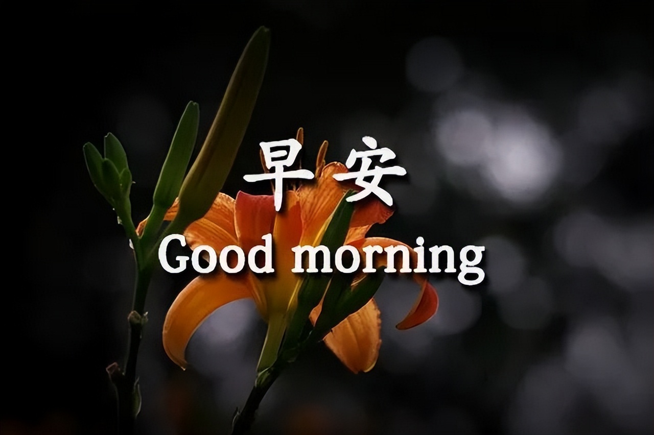 初夏早上好唯美祝福图片 早安图片带字带鲜花 幸福花祝你幸福美满图片