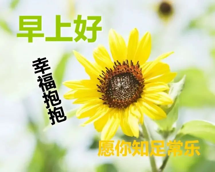温馨的微信朋友圈早上好心情语录阳光句子 美好的今天掌握在你手里图片