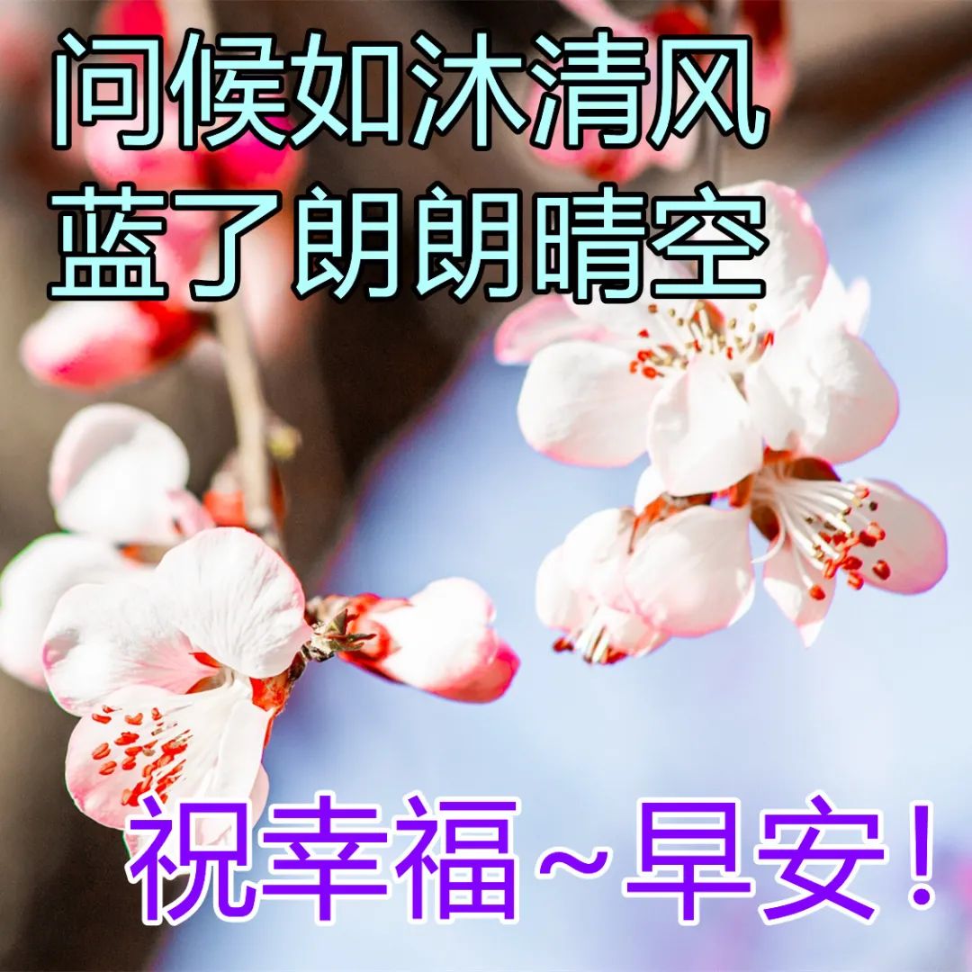 清晨暖心的早安问候祝福语短信 最好的快乐是平安 最好的平安是健康图片