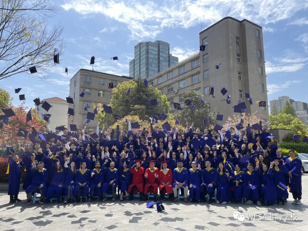 美高+AP、A Level，如何确定哪个课程更适合孩子？