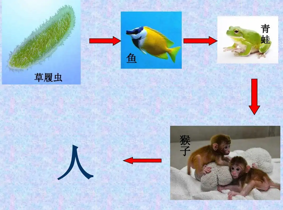 39年前的今天(小学课文《童年的发现》怪事：连作者都未搞清，内容更是莫衷一是)