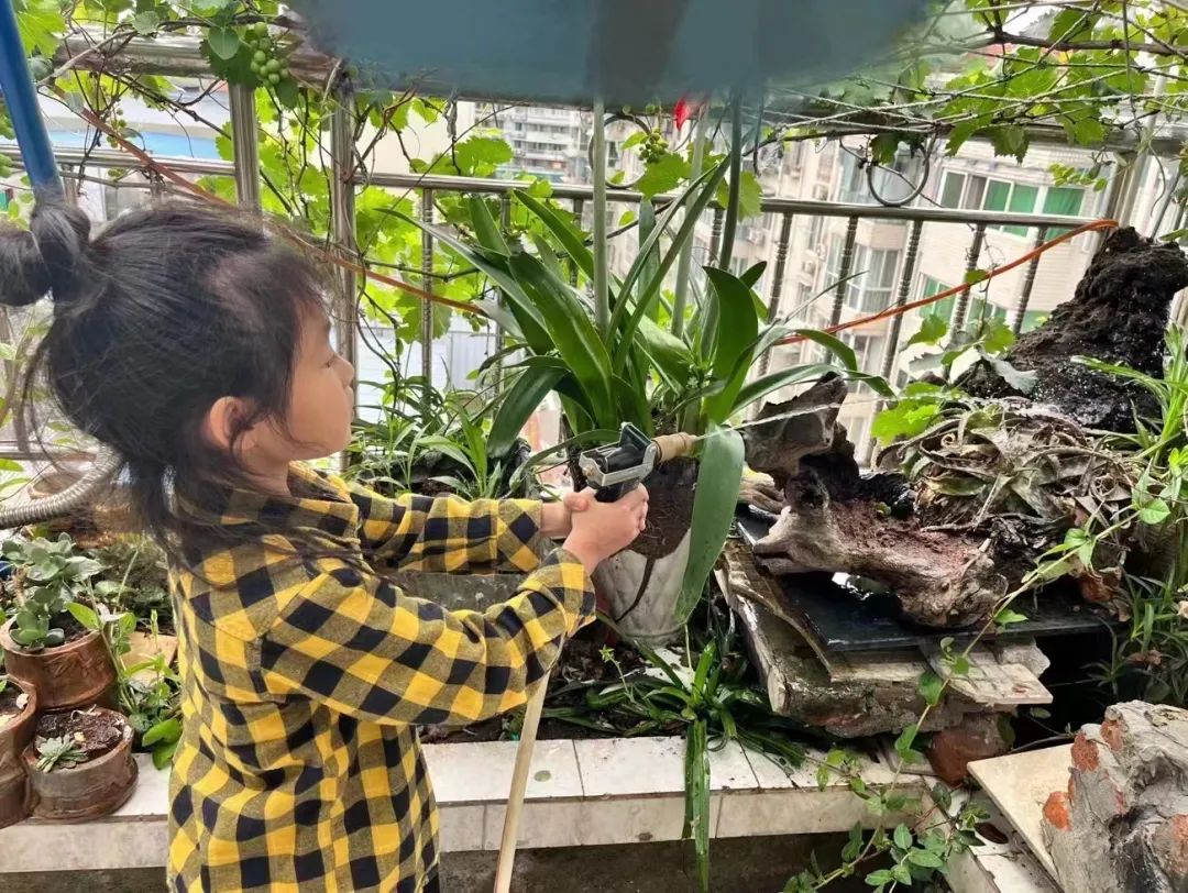 南湖小学一年级结合学生实际情况开展丰富多彩的劳动教育实践活动