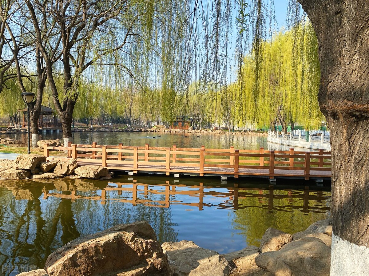 体校排名榜单揭晓，上体升至第一，非体育生也能报考