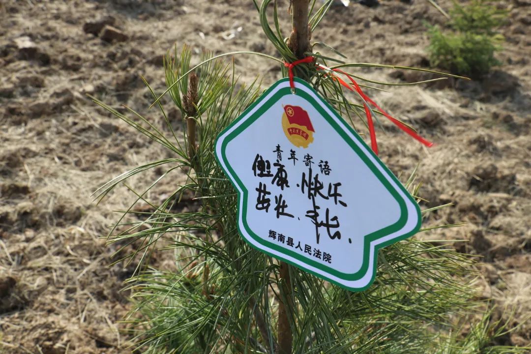 昨天，我们去植树啦