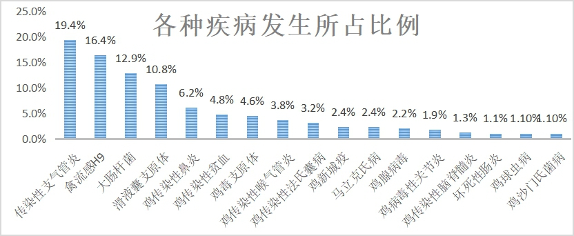 2022年6月大規(guī)模蛋雞養(yǎng)殖中蛋雞疾病總結(jié)與7月預(yù)警