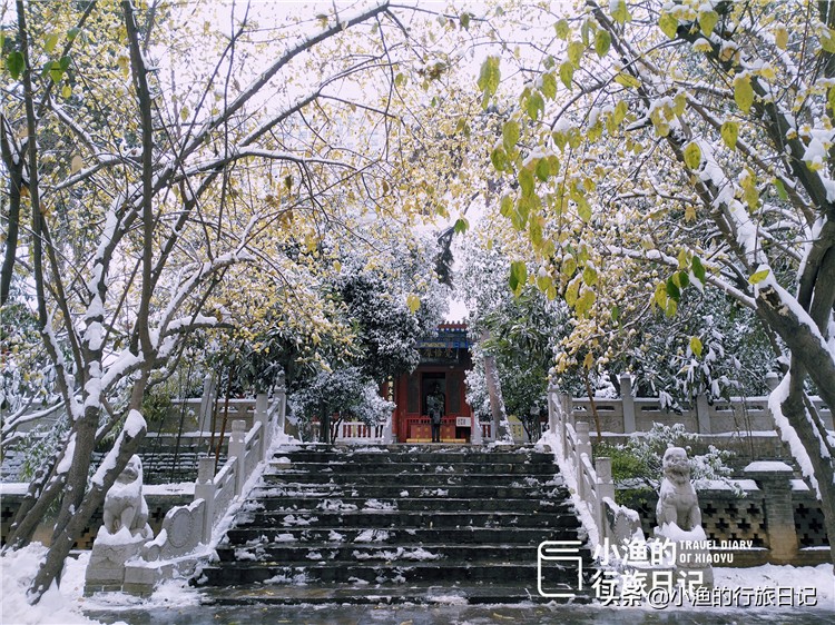 一下雪，西安就穿越了几千年！随手一拍，便是绝色长安