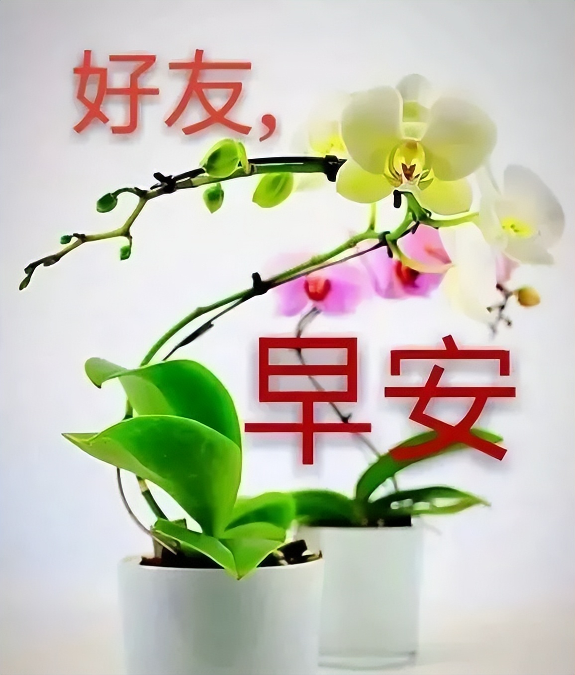 12张创意全新早上好群发温馨问候语 相聚是缘分，同行是快乐图片