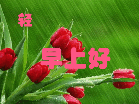 周六发朋友圈的唯美心情说说短句 天天开心 迎接美好今天图片