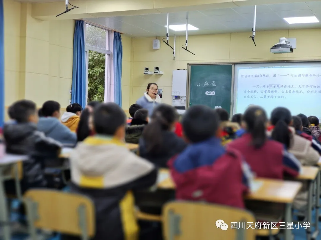 四川天府新区三星小学——我手写我心 彩笔绘生活