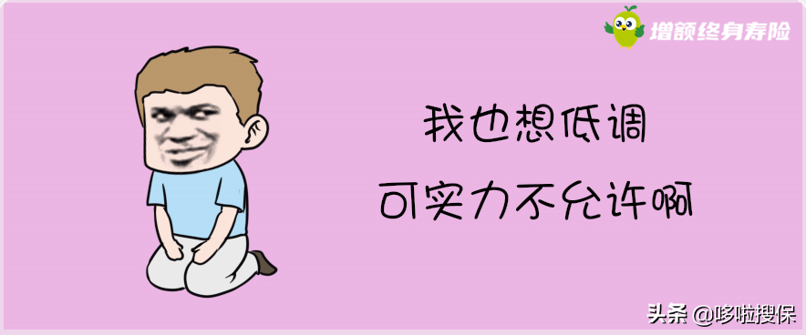 爆火的4款理财险(最火的理财保险)