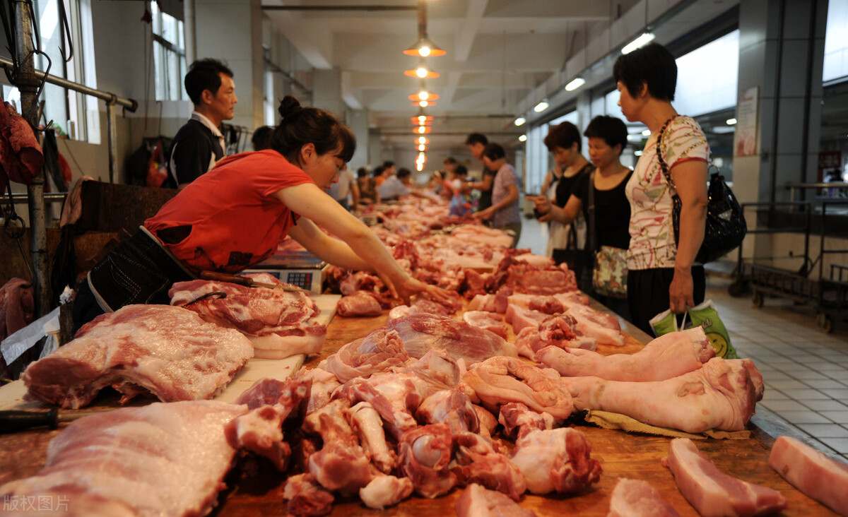 2023年的生猪价格很有可能复制2020年的猪价行情，7月20日猪价