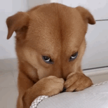 万亿刺激政策来袭 A股为何却趴下了？