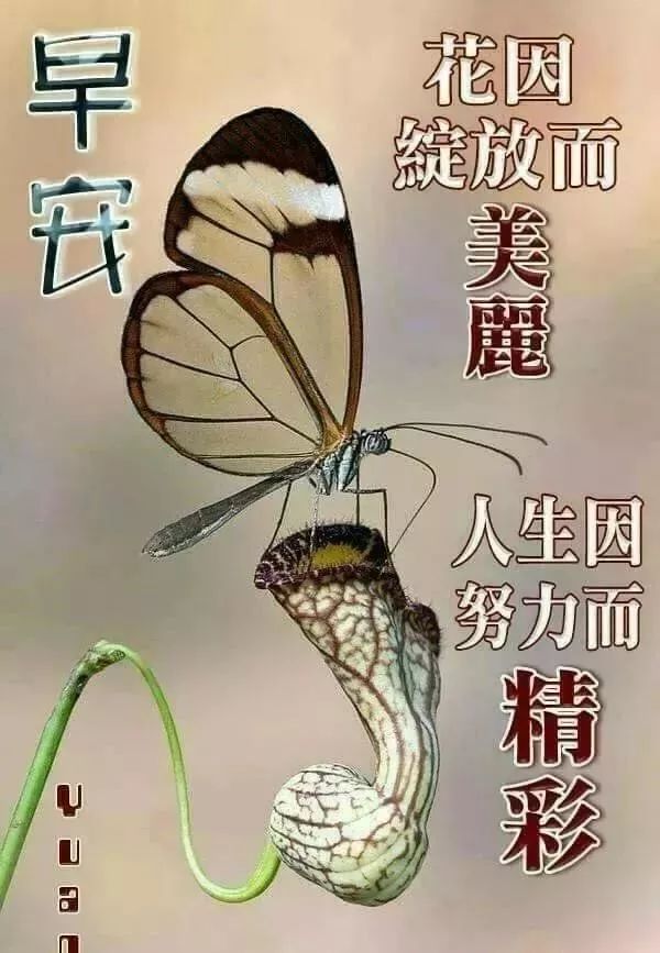 星期六早上好祝福语图片 温馨周六早上好暖心祝福短信 周六快乐加倍图片