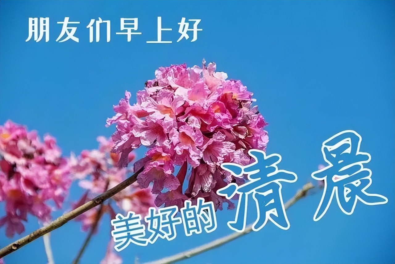 微信精选唯美早上好祝福图片，美好的清晨朋友们早上好图片