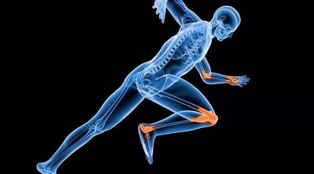 国际关注！西安交大取得系列研究进展，事关骨、牙、关节等硬组织缺失重建！