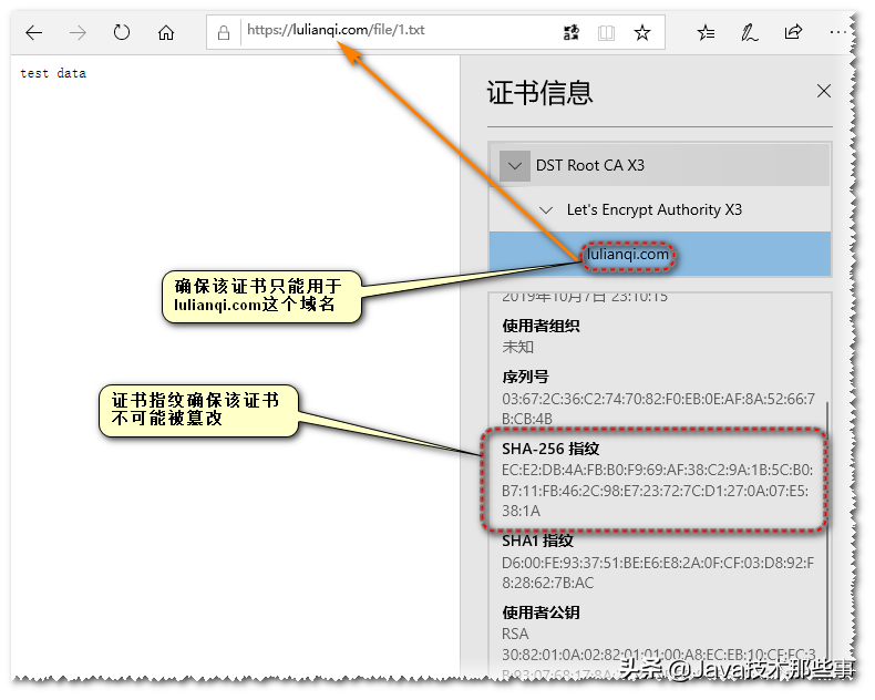 大厂面试引发的探讨：HTTPS 如何保证数据传输安全？