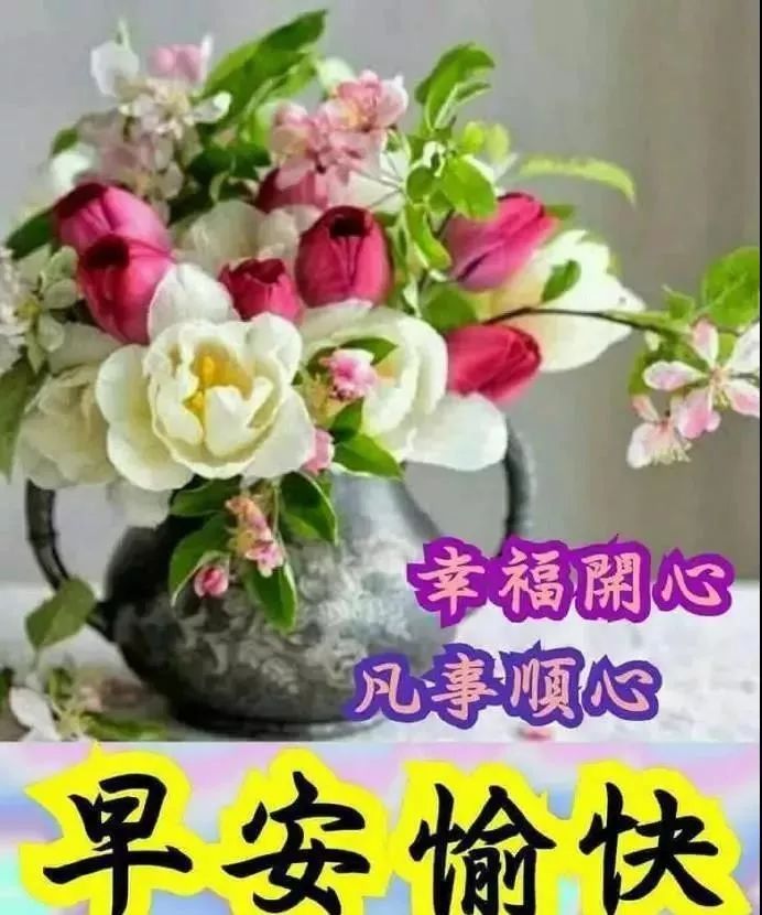 春天最新早上好图片带字大全 鲜花早上好问候语和关心话图片
