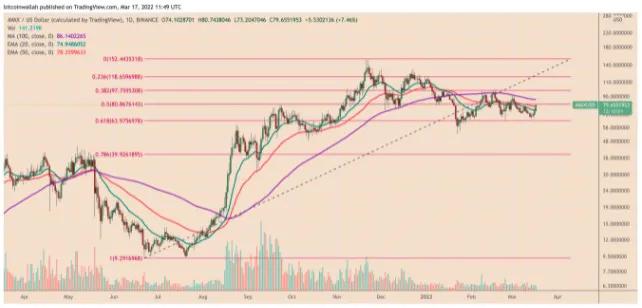 由于 AVAX 每周 20% 的反弹重燃“牛市旗”，雪崩价格可能在夏季翻倍