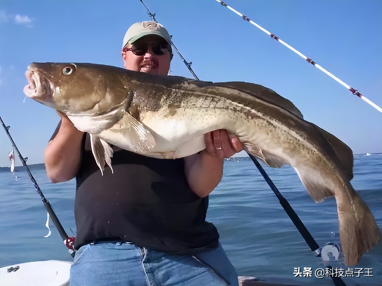 比鲱鱼罐头还要恐怖的油鱼,别名喷射鱼,吃上一次屁股漏油三天
