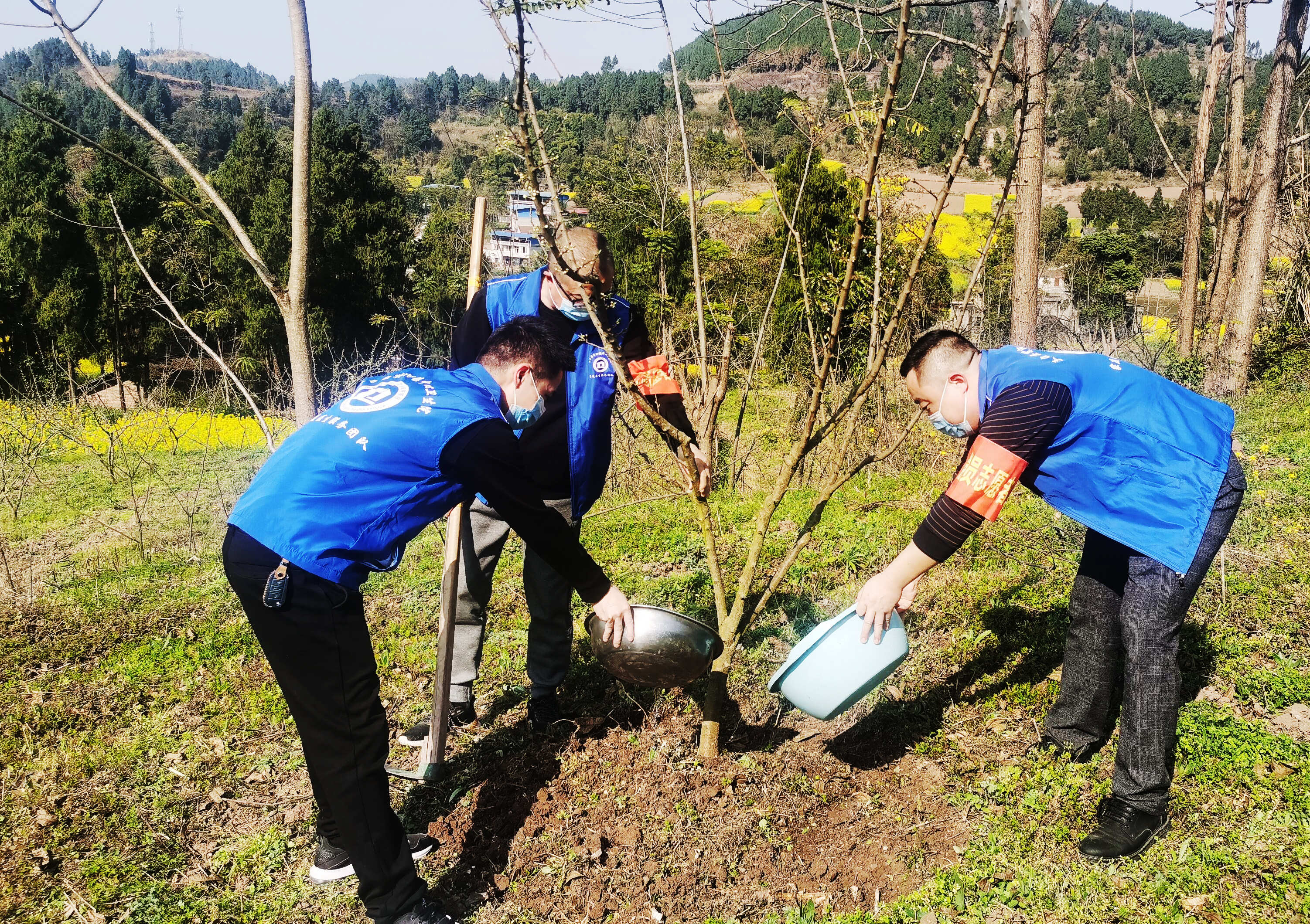 三台县紫河镇中心卫生院：我为梓州植棵树，共建绿美新三台