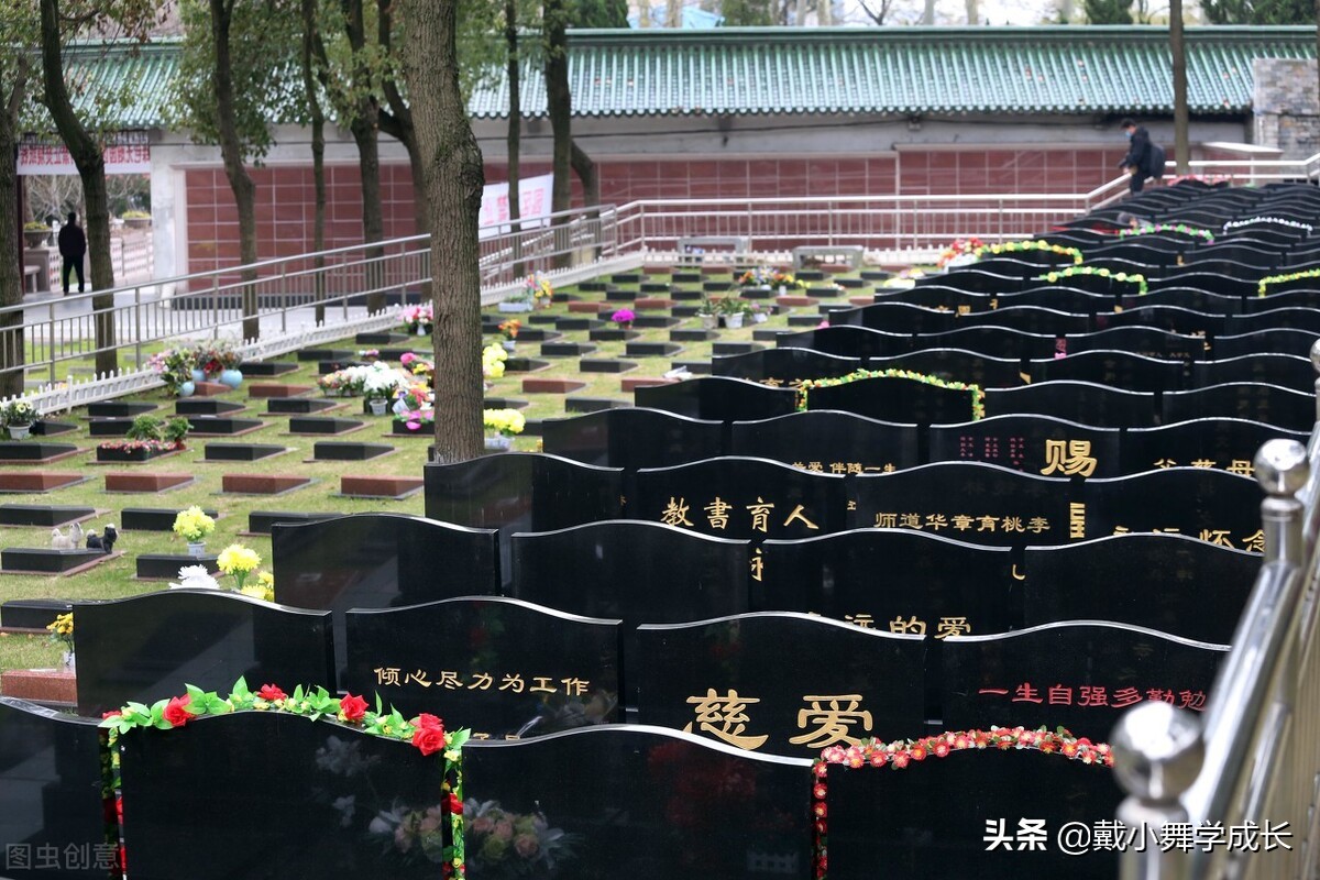 买一些书籍给老人家（每一位老人都是一本书）