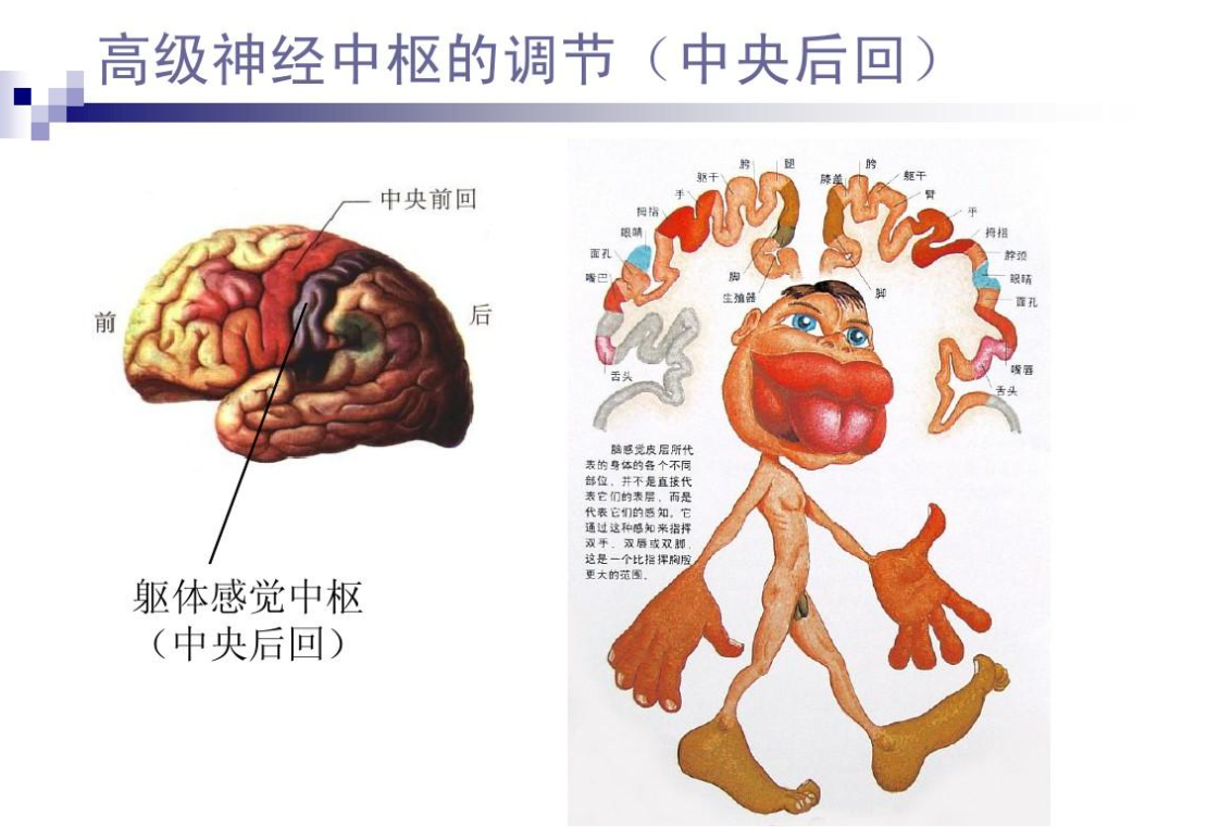 全球13台根服务器，中国一台也没有？若被关闭服务我国该如何应对