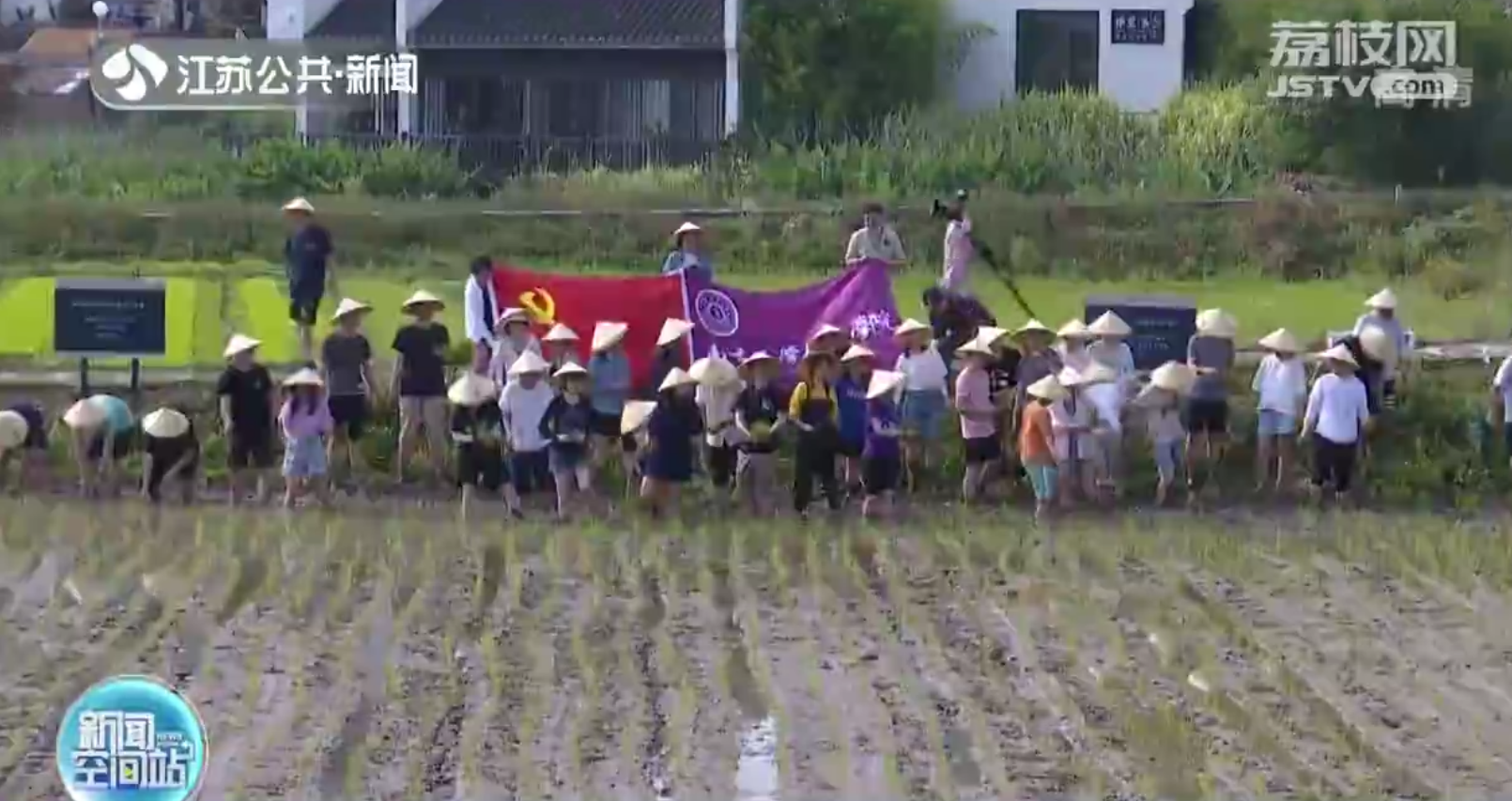 大学师生下田插秧！南京大学历史学院把课堂开到田间