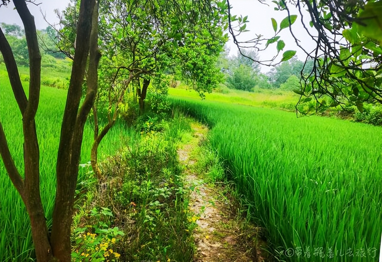 重慶長壽應(yīng)該怎么玩？看看這5個(gè)免費(fèi)景點(diǎn)，一定有一款屬于你的