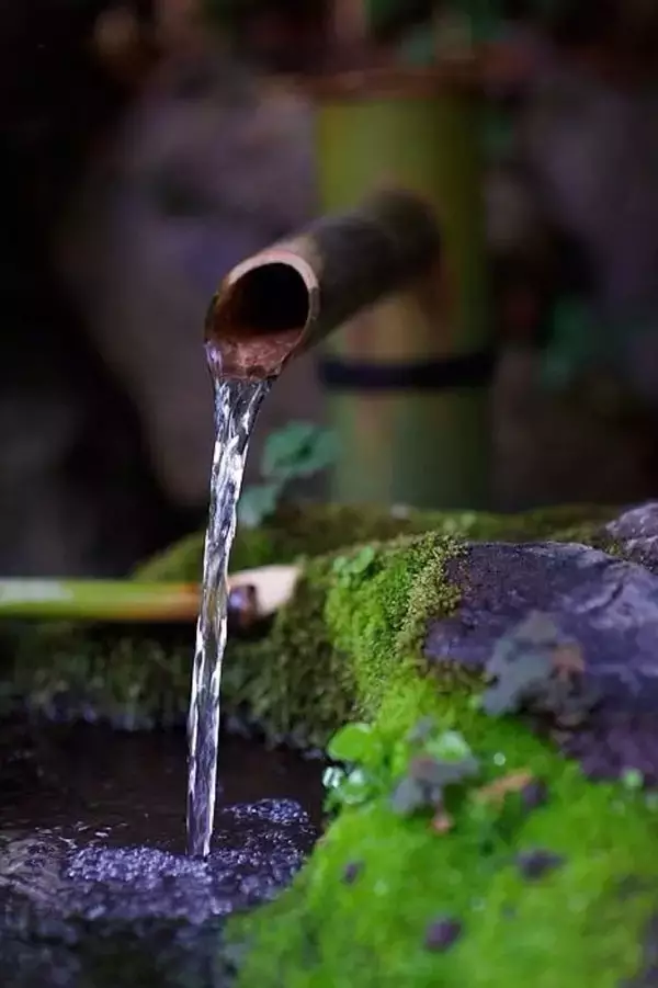 一方水景，几分柔情