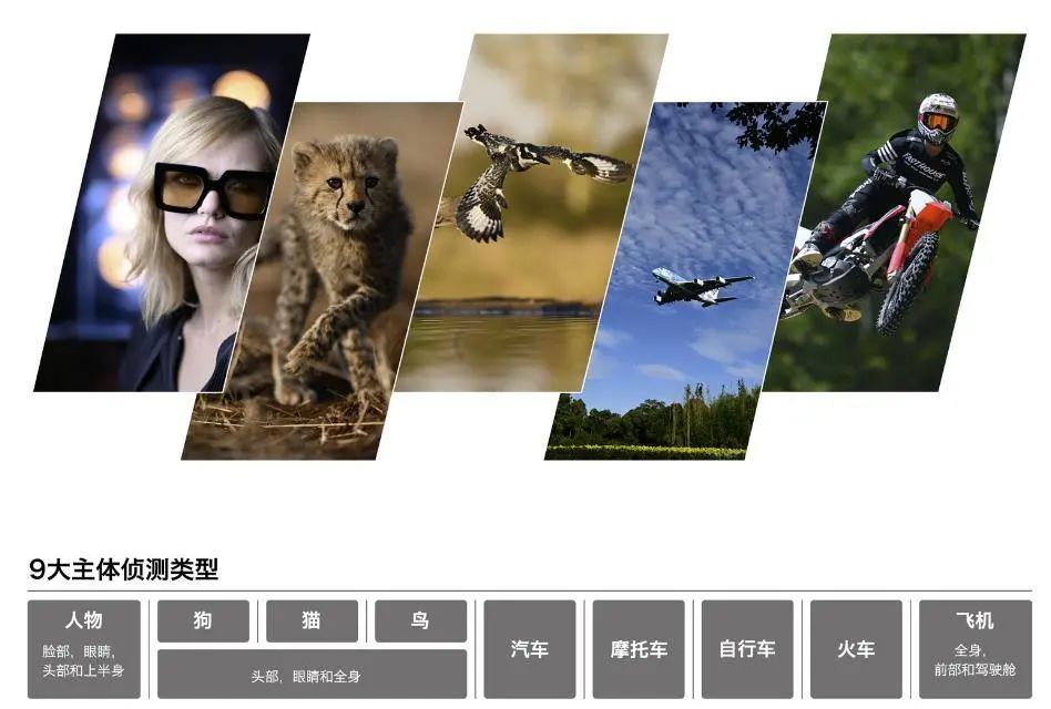 逆势而为，盘点疫情两年中器材行业的新技术与新趋势——相机篇