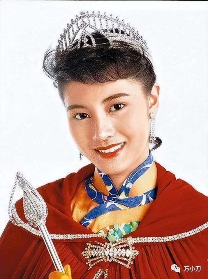 洪欣肉丸子事件("性感港姐"富豪围猎史)