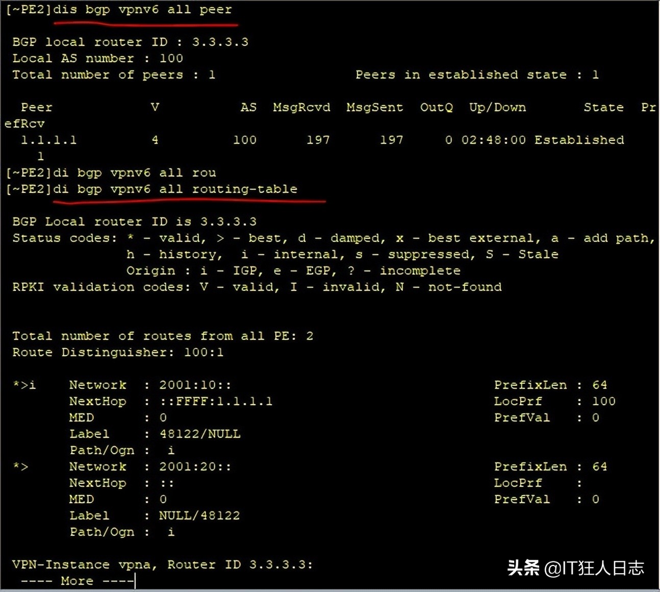 异地局域网通过公网进行IPv6的数据通信，且实现业务隔离