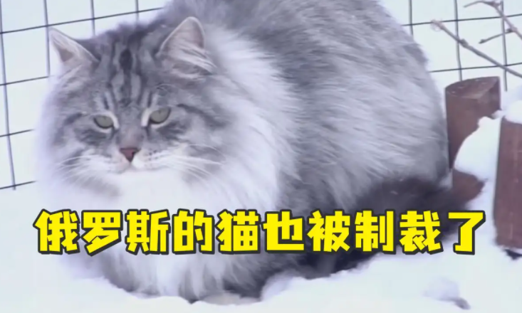 ˭ݿˣս˹ⲻ֪ŷҲʧѪ