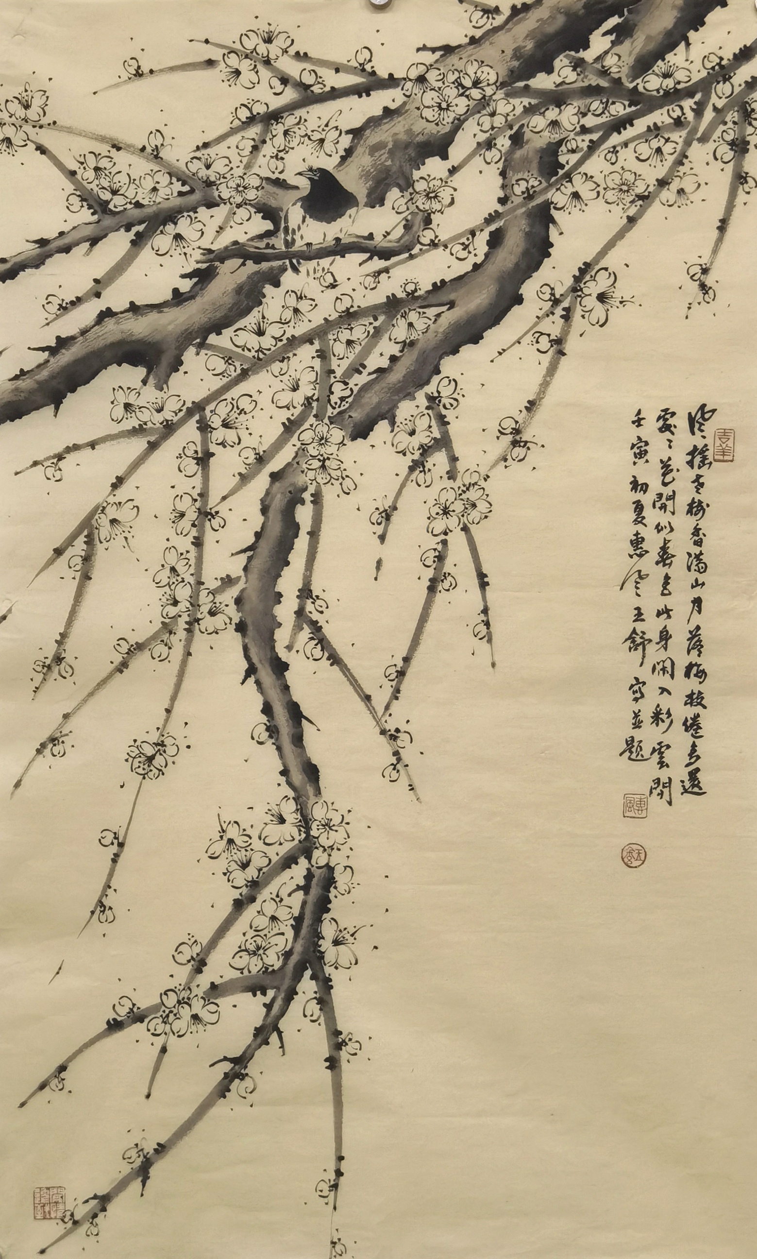 新锐画家王舒作品赏析