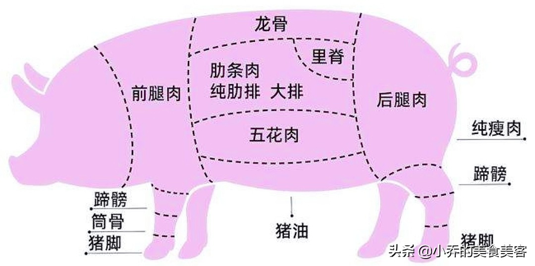 身体器官图(猪身上的部位图，一张图，让小白轻松看懂什么肉，从此买肉不糊涂)