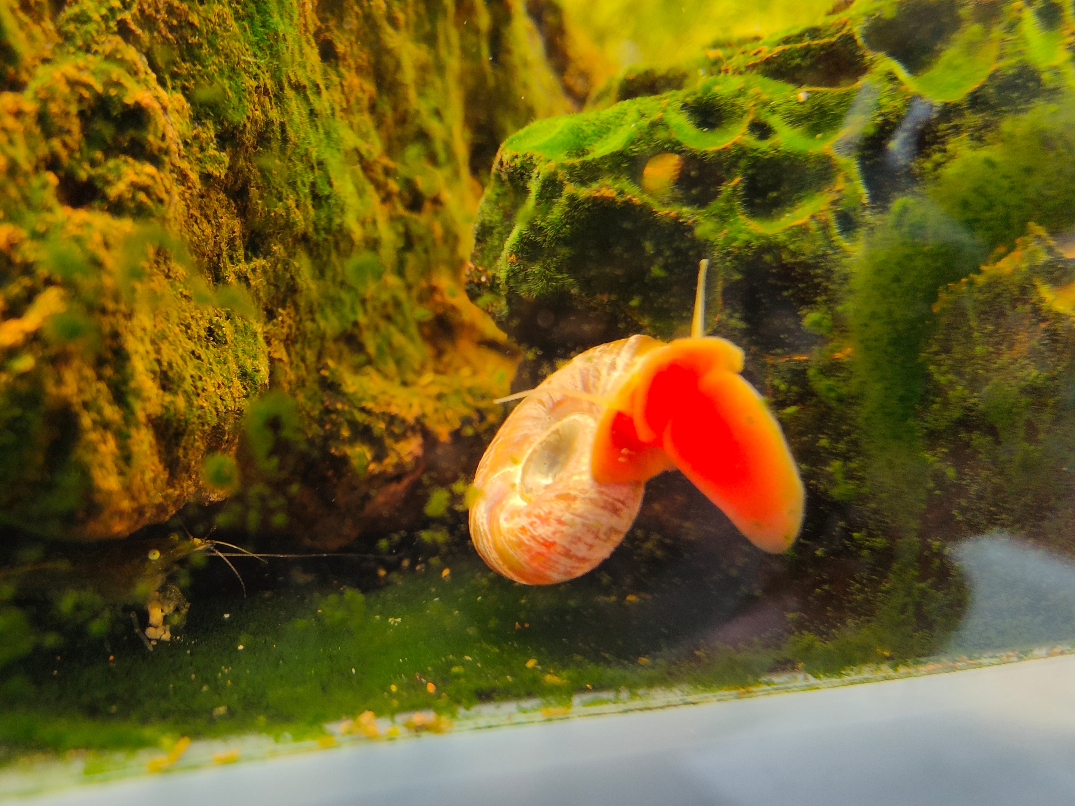 怎么监测和稳定鱼缸水质(怎么监测和稳定鱼缸水质的方法) - 114货源网