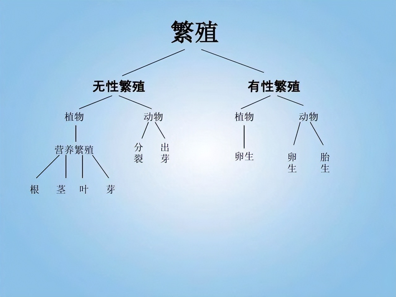 科学家发现人类的Y染色体正在不断缩短，未来的男性将何去何从？