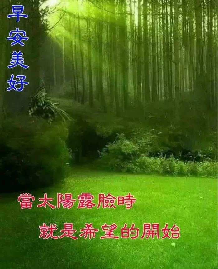 春天早上好图片大全 送给朋友早上好图片问候 一句问候愿你幸福安康图片