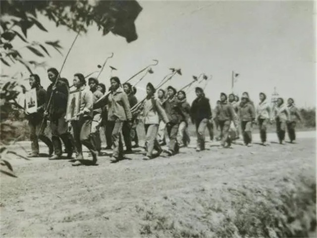 大连知青王冬梅：壮美的青春献给了草原