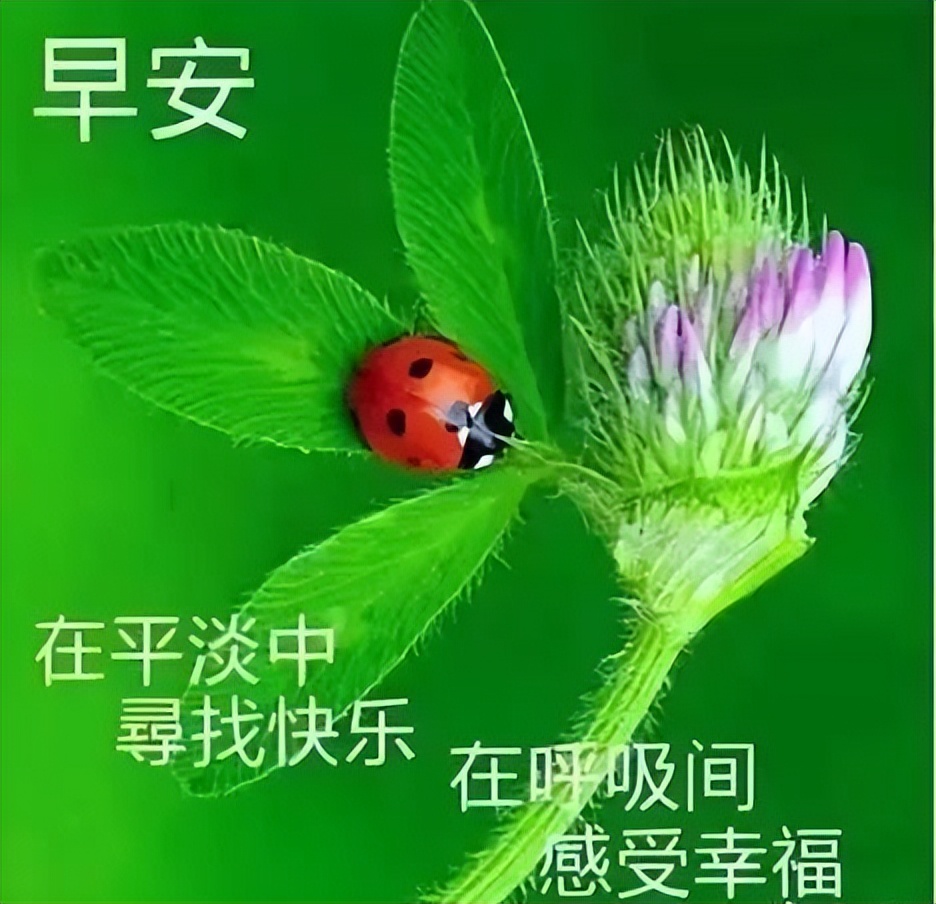 周三早上好,每天问个好,生活更美好，睡得好起得早、笑一笑永不老图片