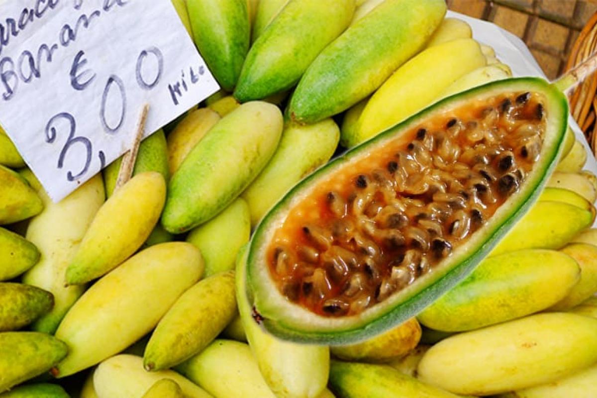 原产于巴西的水果，曾在福建消失，如今又成了广西特色水果