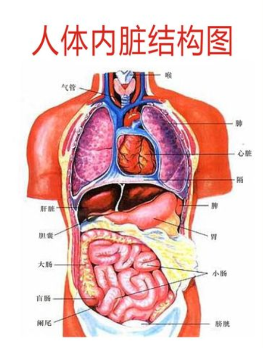 人死后，散发出的“尸臭”到底有多臭，该如何克服？