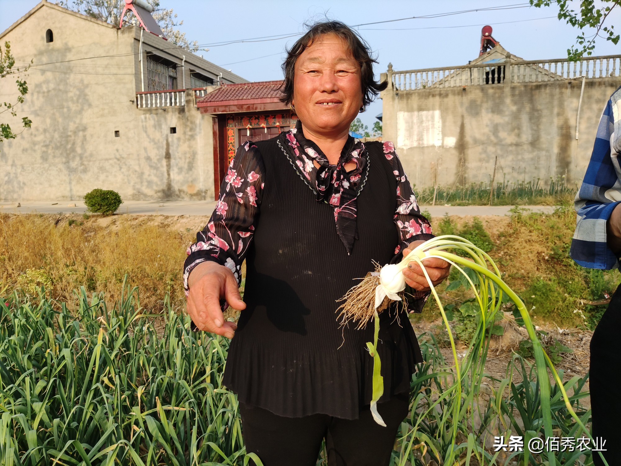专家提出：农民不种地是好事，有利于农业现代化，你怎么看？