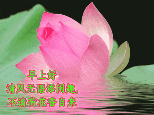 2022朋友圈超漂亮的微信早上好问候祝福语，快乐生活、心想事成图片